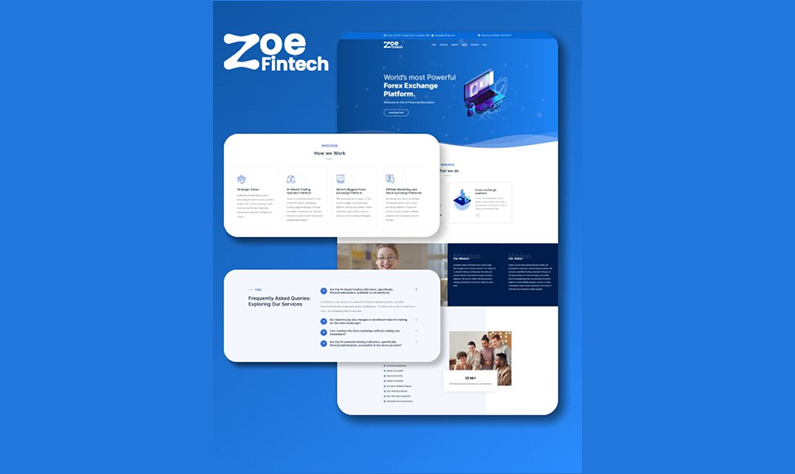 Zoe Fintech website
